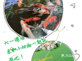 六一遛娃！带孩子来和小动物一起亲密接触吧~