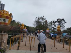 -飞来湖湿地公园