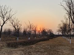 -汉长安城未央宫国家考古遗址公园