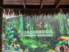 -正佳雨林生态植物园