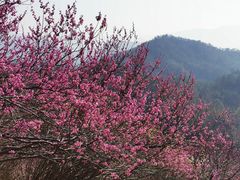 -天台山赤城山景区