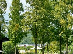 -东钱湖旅游度假区