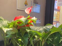 -管氏翅吧(地安门店)