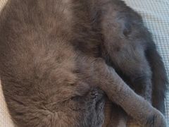 -春笙食堂.丼饭拉面寿司(GOGO新天地店)