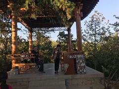 -象山森林公园