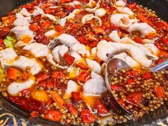 -金三可市井水煮鱼(金碧园店)