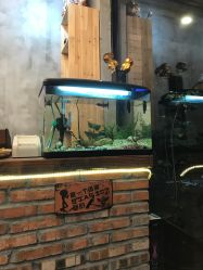 -A  Hair Salon