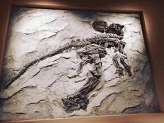-辽宁古生物博物馆