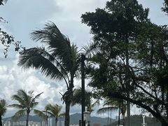 -野狸岛
