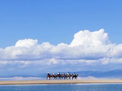 -青海湖国家重点风景名胜区