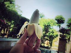 -三亚御海棠豪华精选度假酒店