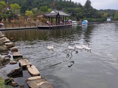 -黄陂区野村谷景区