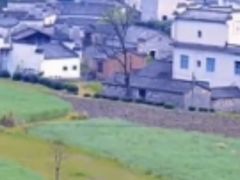 -塔川景区