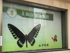 -上海昆虫博物馆