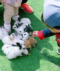 -萌宠亲子动物乐园(槐房万达店)