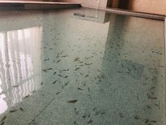 -徂徕山森林康养度假谷温泉