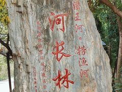 -捞渔河湿地公园