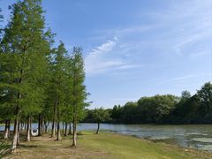 -长广溪湿地公园
