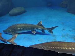 -多彩贵州城极地海洋世界