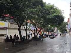 -黄兴南路步行商业街