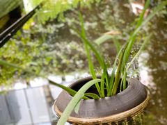 -箱美术馆私房菜(水晶郦城店)