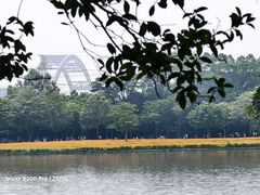 -海珠湖公园