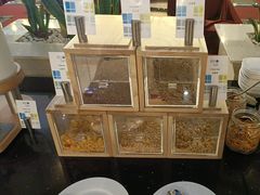 -漢咖啡·全服务式自助晚餐(武汉洲际酒店)