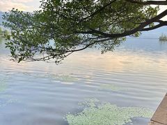 -月亮湾景区