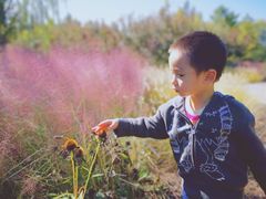 -永定河休闲森林公园