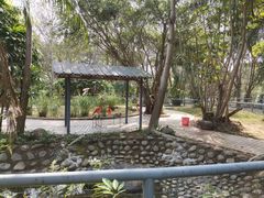 -广东茂名森林公园