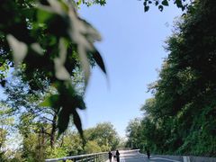 -南京市江宁方山