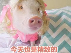 -东荟城名店仓