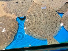 -学府海鲜批发市场