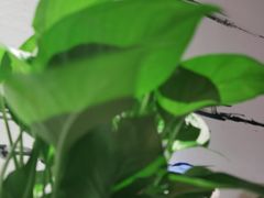 -湘邻呷铺·田园家宴(汉基广场店)