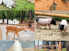 -南戴河国际娱乐中心