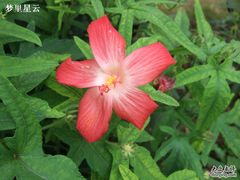 -广州神农草堂中医药博物馆