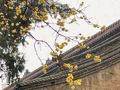 -西安市广仁寺