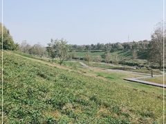 -洨河生态公园
