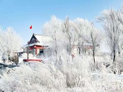 -雾凇岛