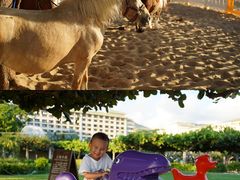 -三亚亚龙湾天域度假酒店