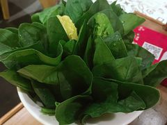 -牛记皇·鲜牛肉火锅(弘阳广场店)