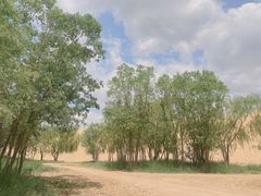 -黄沙古渡原生态旅游区