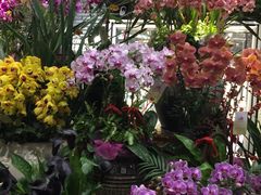 -豆豆花艺(新光天地店)