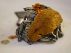 -PEKO PEKO(海之恋商场店)