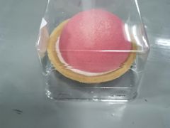 -来噻布布 Lets BUBU