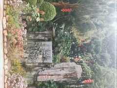 -广州市流溪河国家森林公园