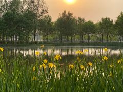 -东郊湿地公园