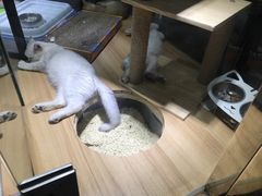 -宠物世家(仲盛世界商城店)