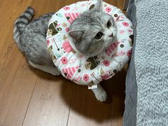 -中农大我爱我爱24h动物医院·中医针灸·猫专科·骨科医疗中心(双井店)