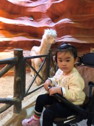 -酷嗒动物文化乐园(cutezoo西溪乐天城店)